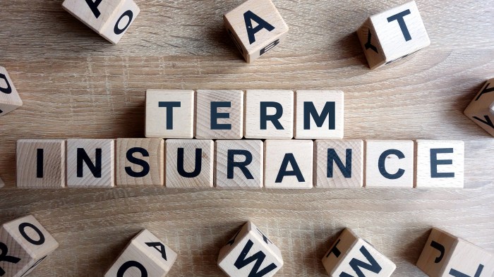 Define term life insurance