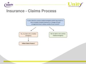 What time frame must an insurer pay a claim