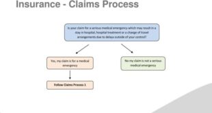 What Time Frame Must an Insurer Pay a Claim?