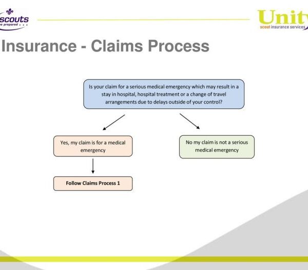 What time frame must an insurer pay a claim