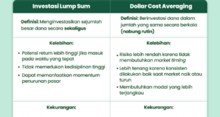 Lump Sum vs Installments Insurance Claim Choices