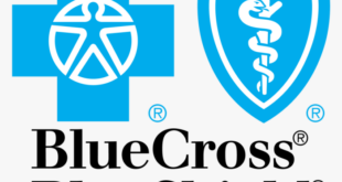 Blue Cross Health Insurance A Comprehensive Guide