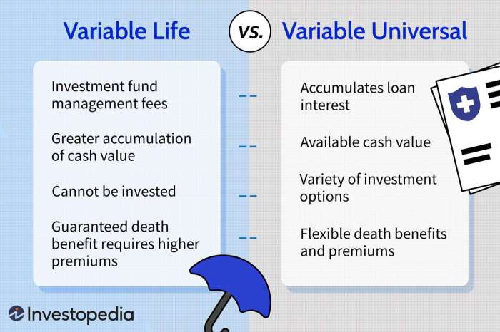 Variable universal life insurance