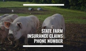 State farm insurance company claim status