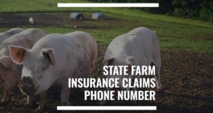 State Farm Insurance Company Claim Status