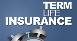 Term Life Insurance Meaning A Concise Guide