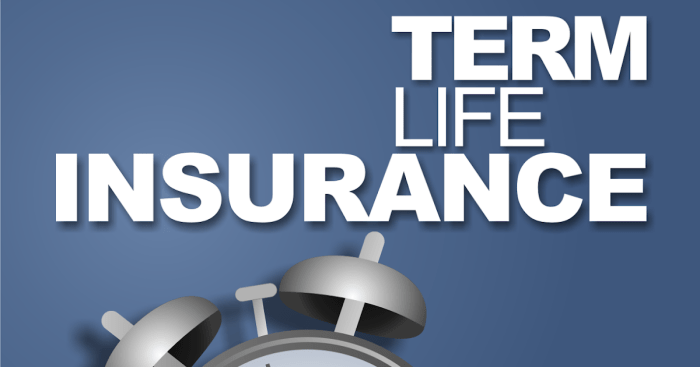 Term life insurance meaning