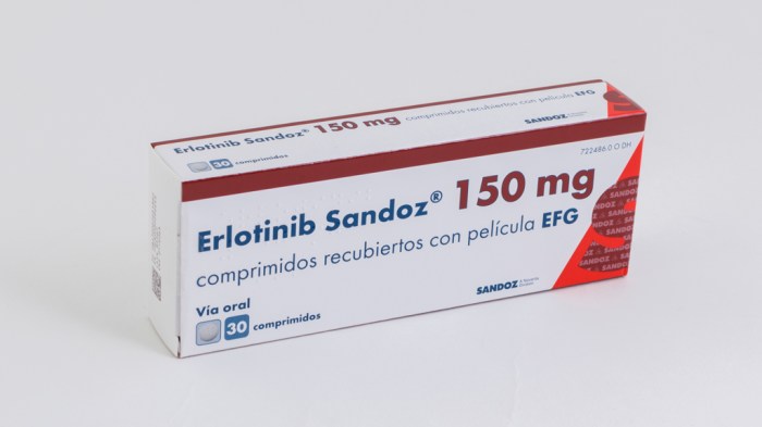 Erlotinib tablets tablet address wellonapharma submitted successfully inquiry mg