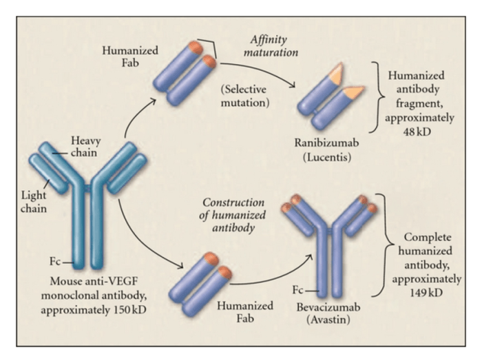 Ranibizumab prp effective than ois mg