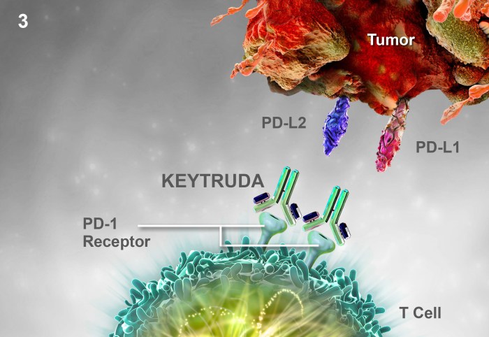 Pembrolizumab