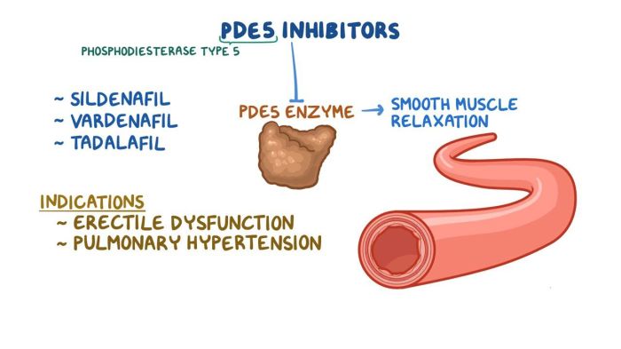 Phosphodiesterase inhibitors