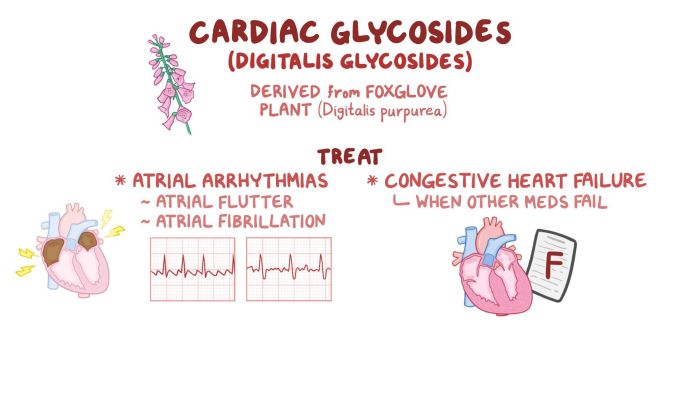 Cardiac glycosides